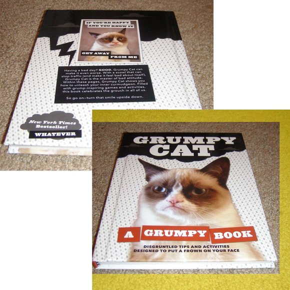 Brand NEW Grumpy Cat Hard cover book Great gag gift! - Picture 1 of 4
